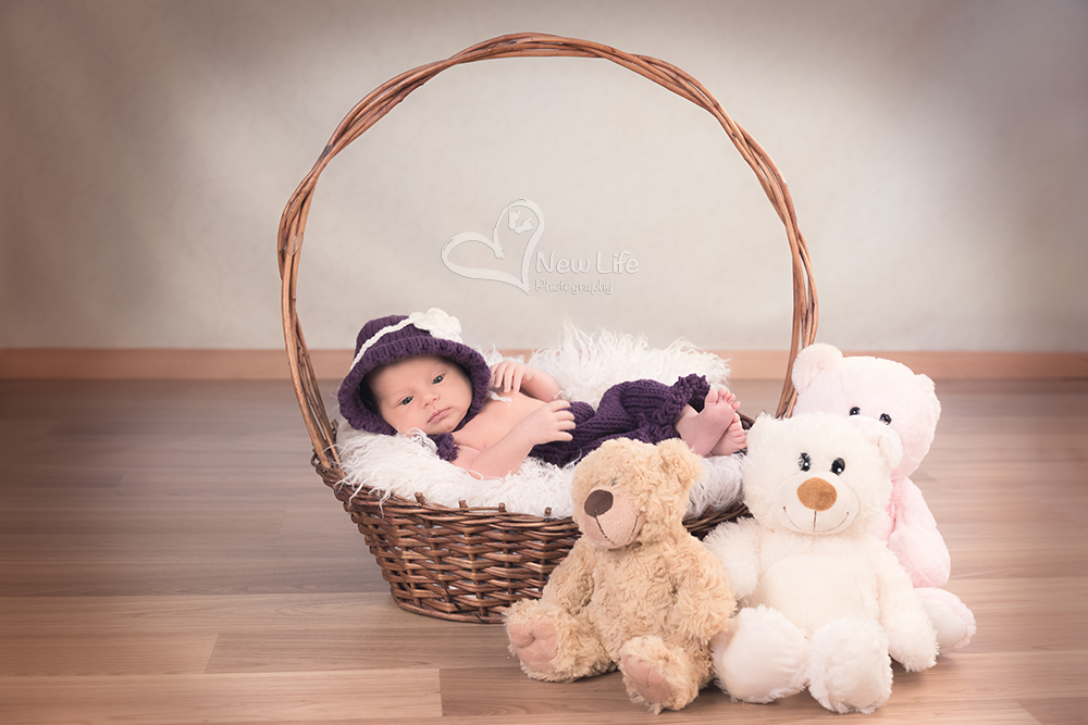 New Life Photography by Nathalie Renfer - Photographe spéciali