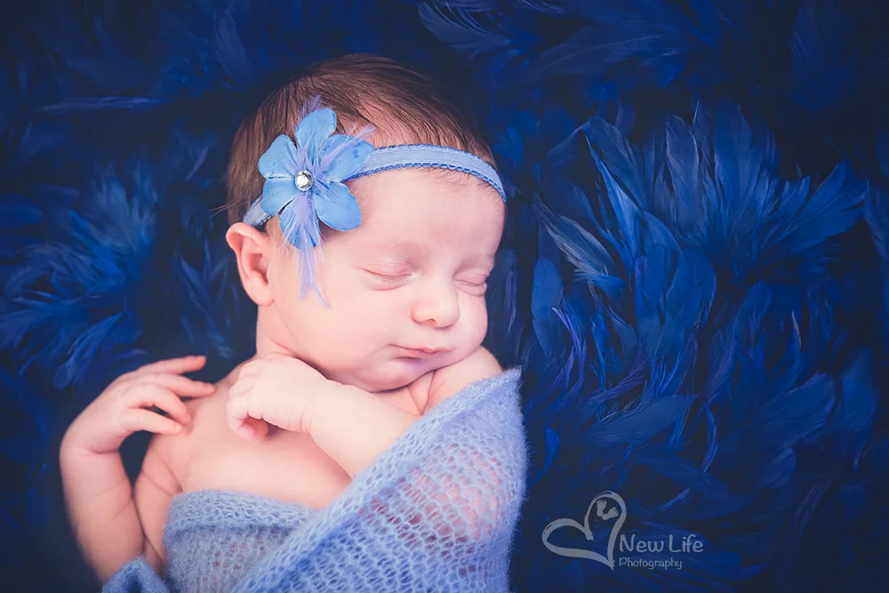 New Life Photography by Nathalie Renfer - Photographe spéciali