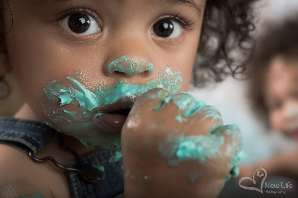 New Life Photography by Nathalie Renfer - Photographe spéciali