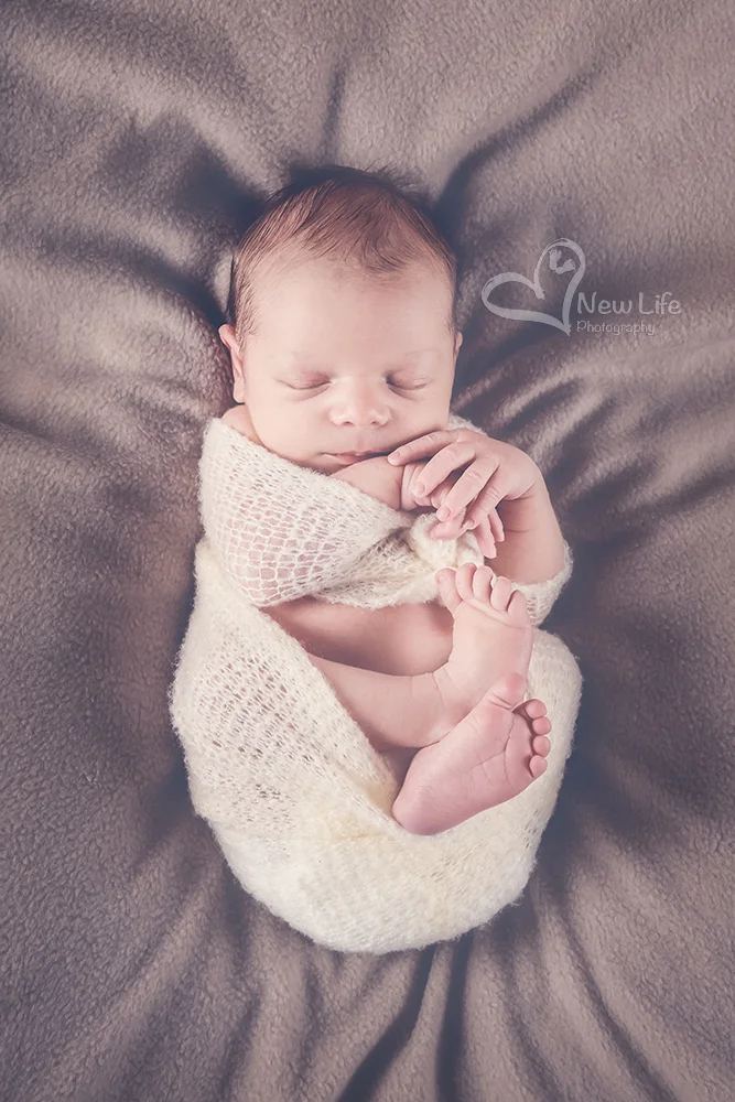 New Life Photography by Nathalie Renfer - Photographe spéciali