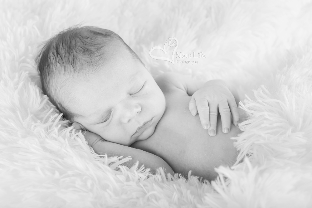 New Life Photography by Nathalie Renfer - Photographe spéciali