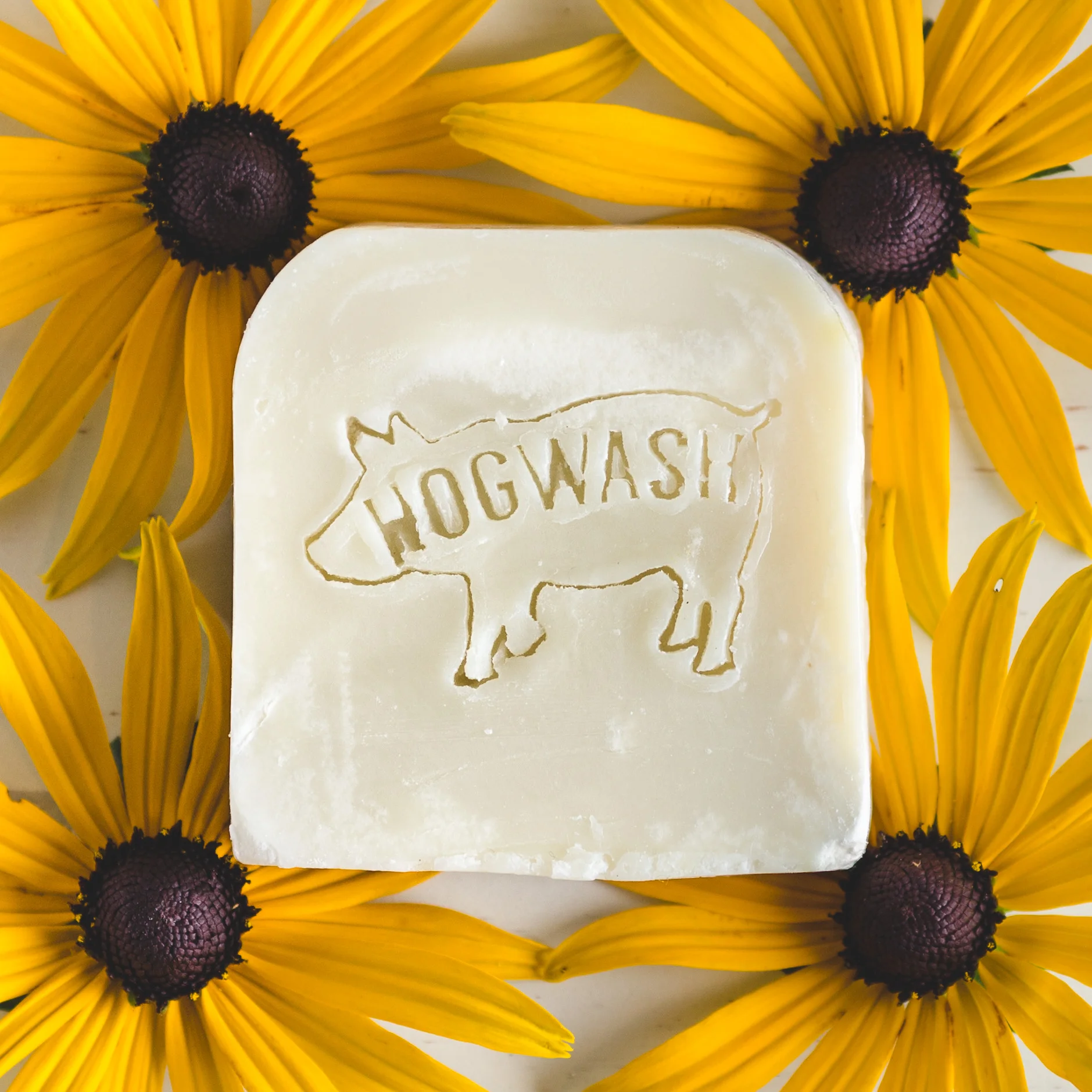 Hogwash unwrapped-18.jpg