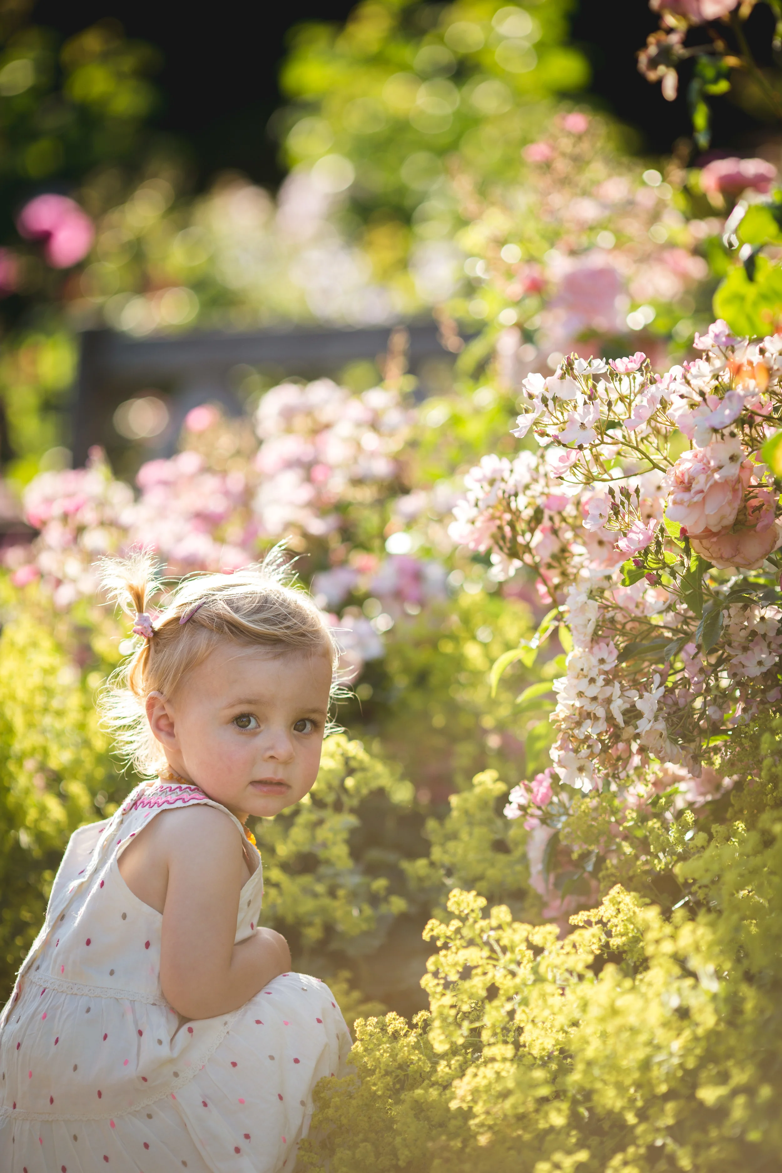 Girl in rose Garden.jpg