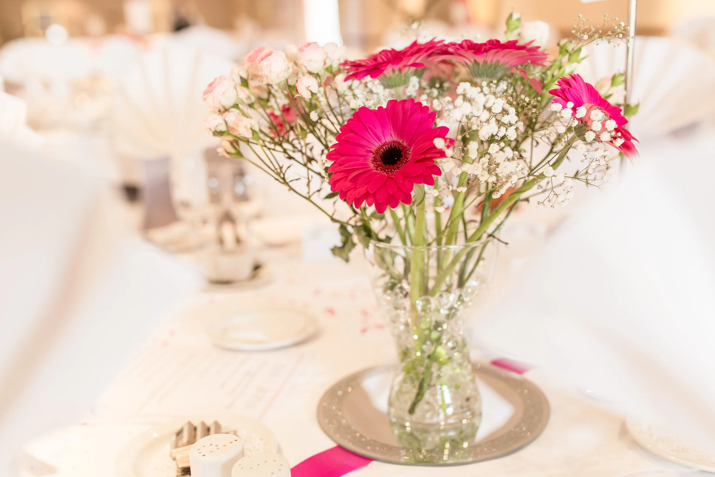 LynandSteve-TheParkHotelBarnstaple-2.jpg