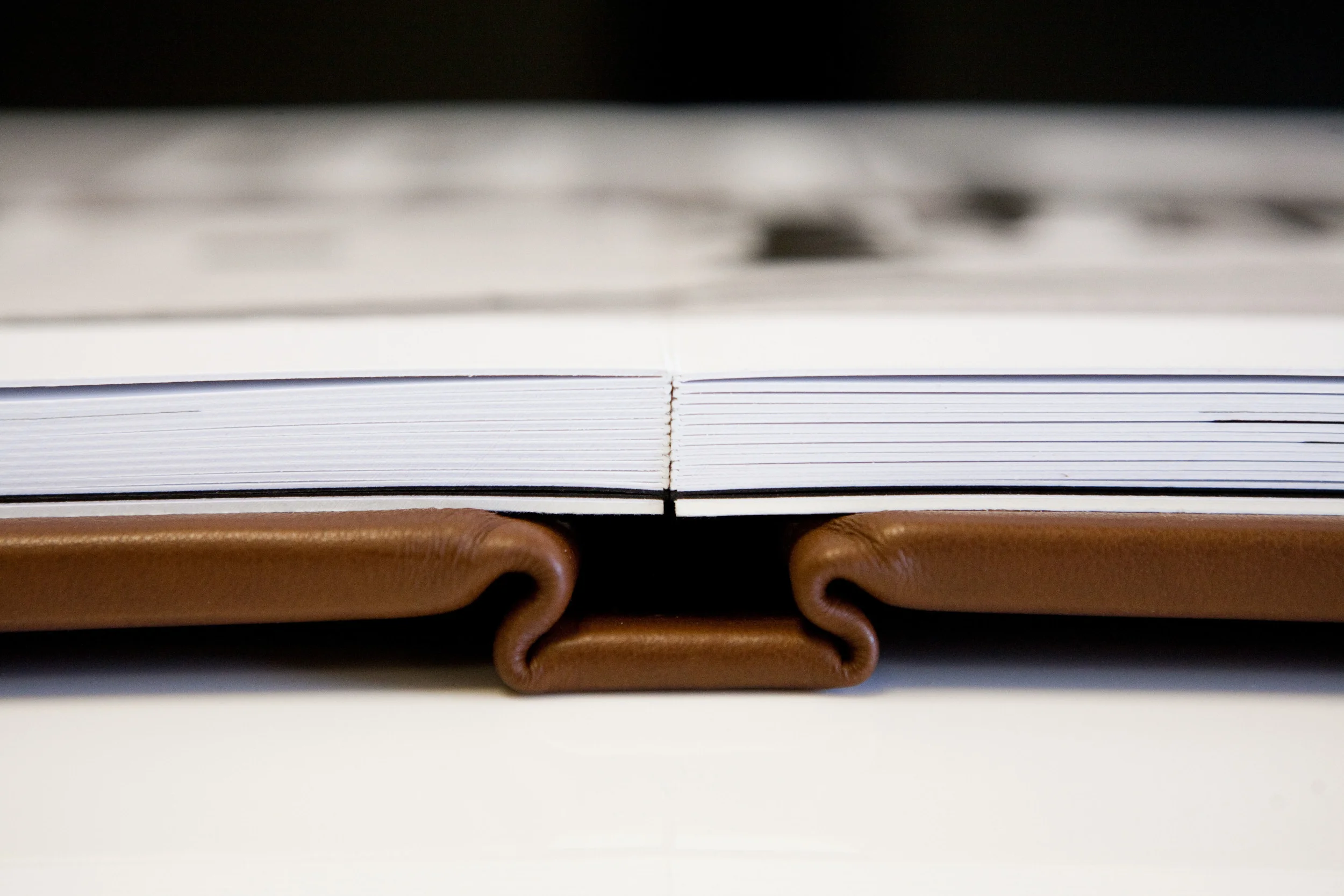 folio_albums_05_spine_close_up.jpg