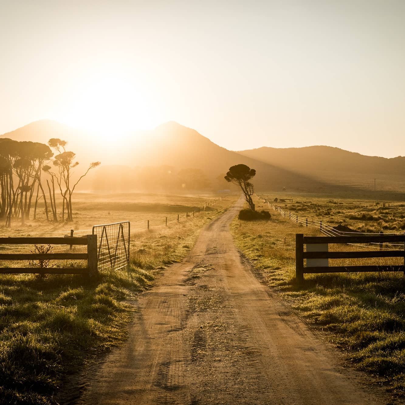 We're thrilled for our friends Tom and Jo who have added @onislandtime.flindersisland to their ever-growing list of all things Flinders Island.
These guys have the most unique collection of accommodation on the island, have the inside scoop on the lo