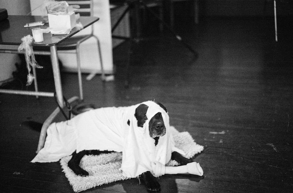 katjameuli_drauffRiss_Nov25-1004498.jpg