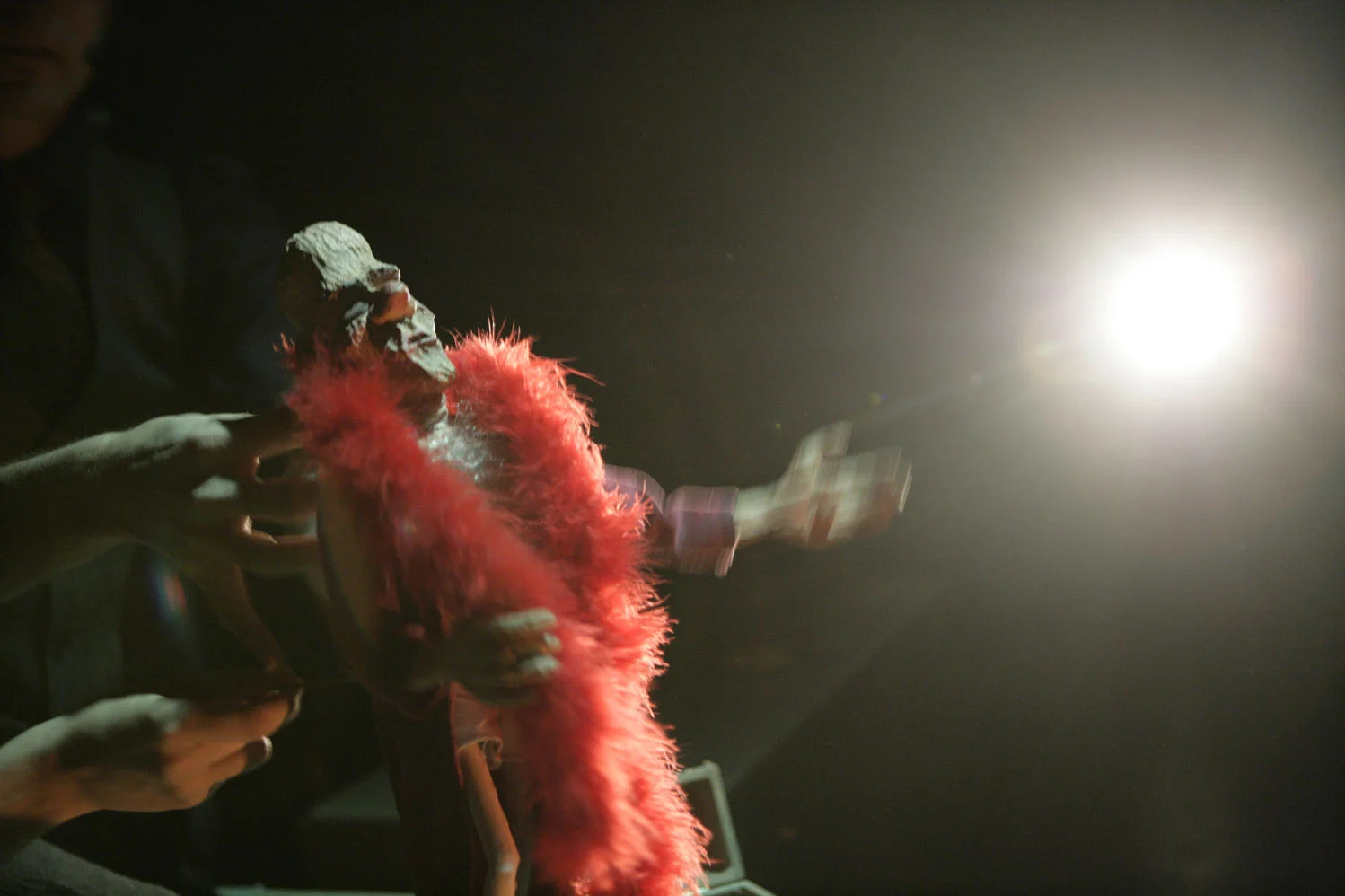 Apples and Ladders. Photo; Jeff Busby