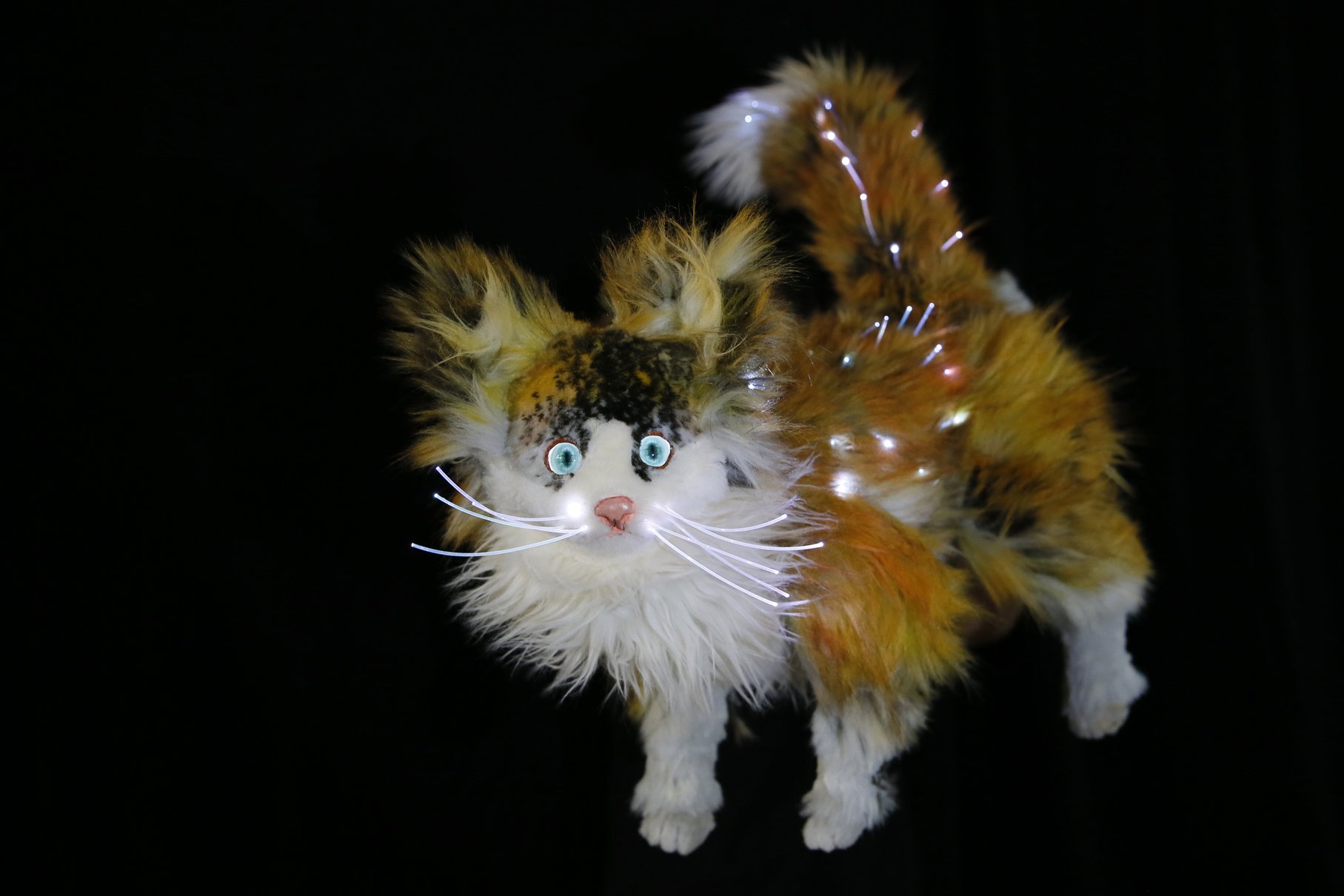 LEMONY S PUPPET THEATRE_photo Jeff Busby_1471.JPG