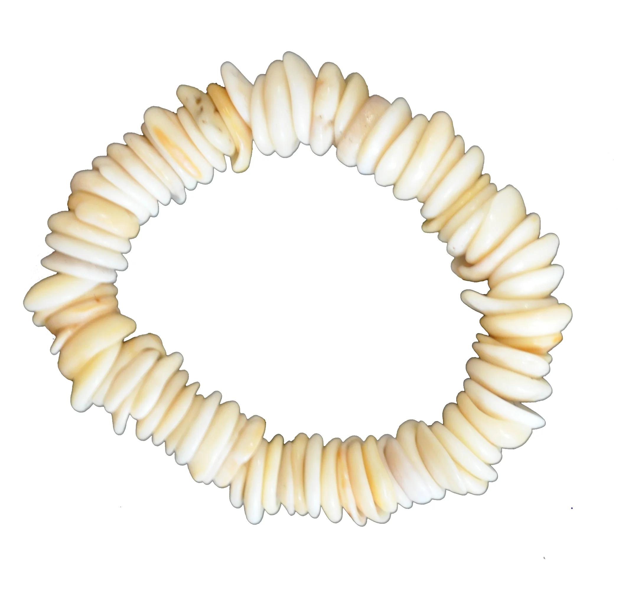 Natural Shell Bracelet
