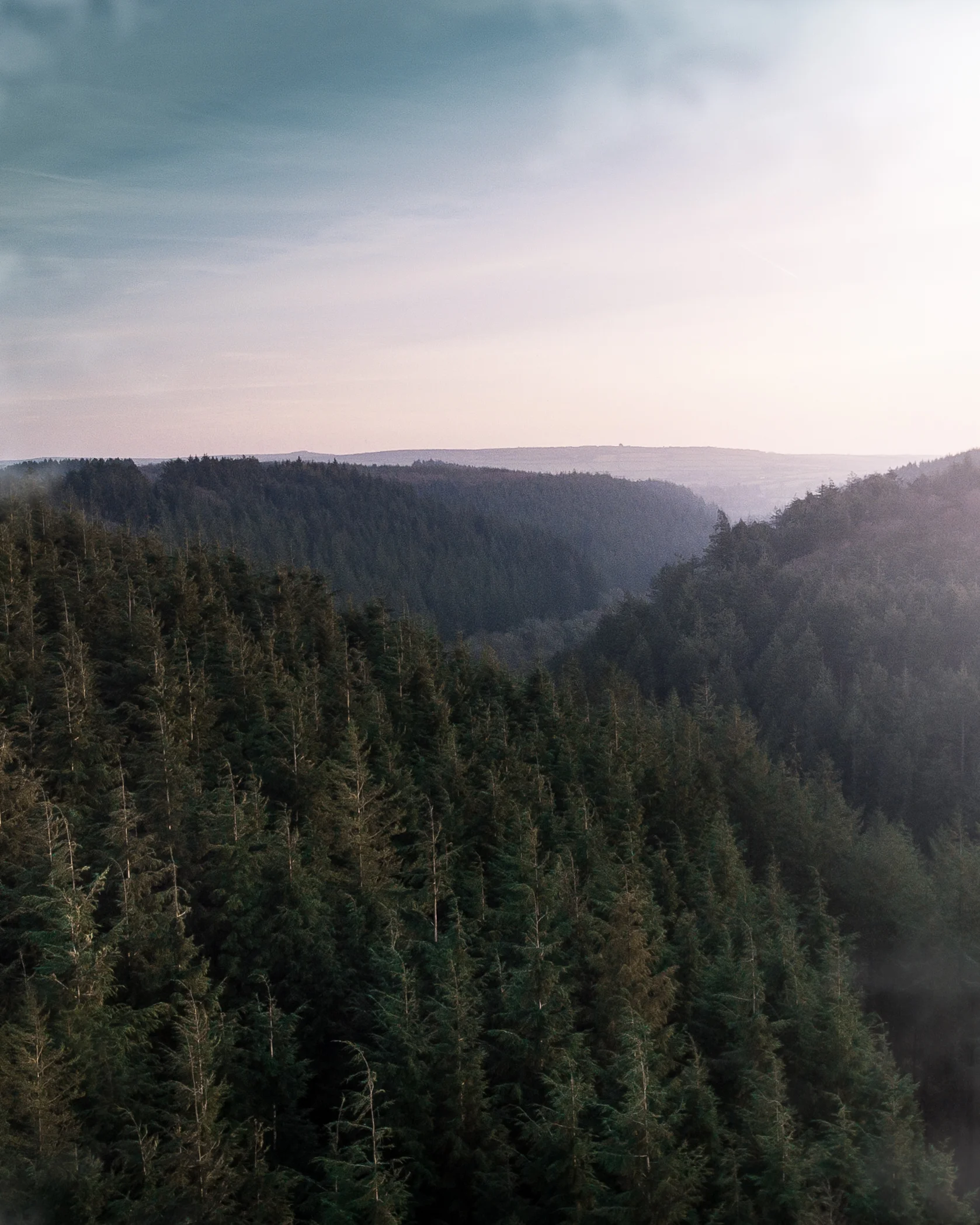 DJI_0446-Edit.jpg