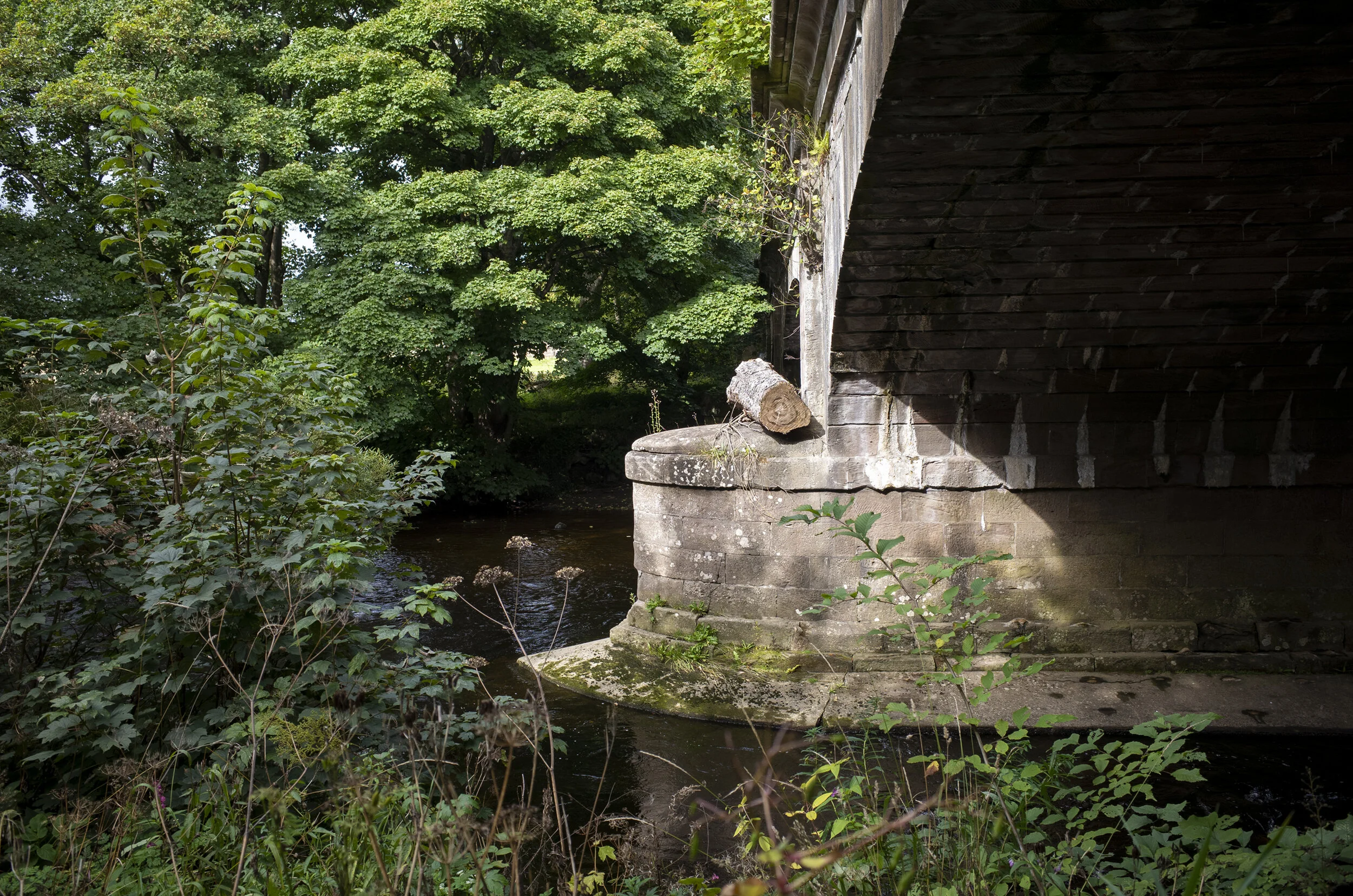“How did that log get there?” / “Huv ye heard ay electricmagnetic pulse anomaly theory?” / “Nut.” / “Well, there ye go son.”