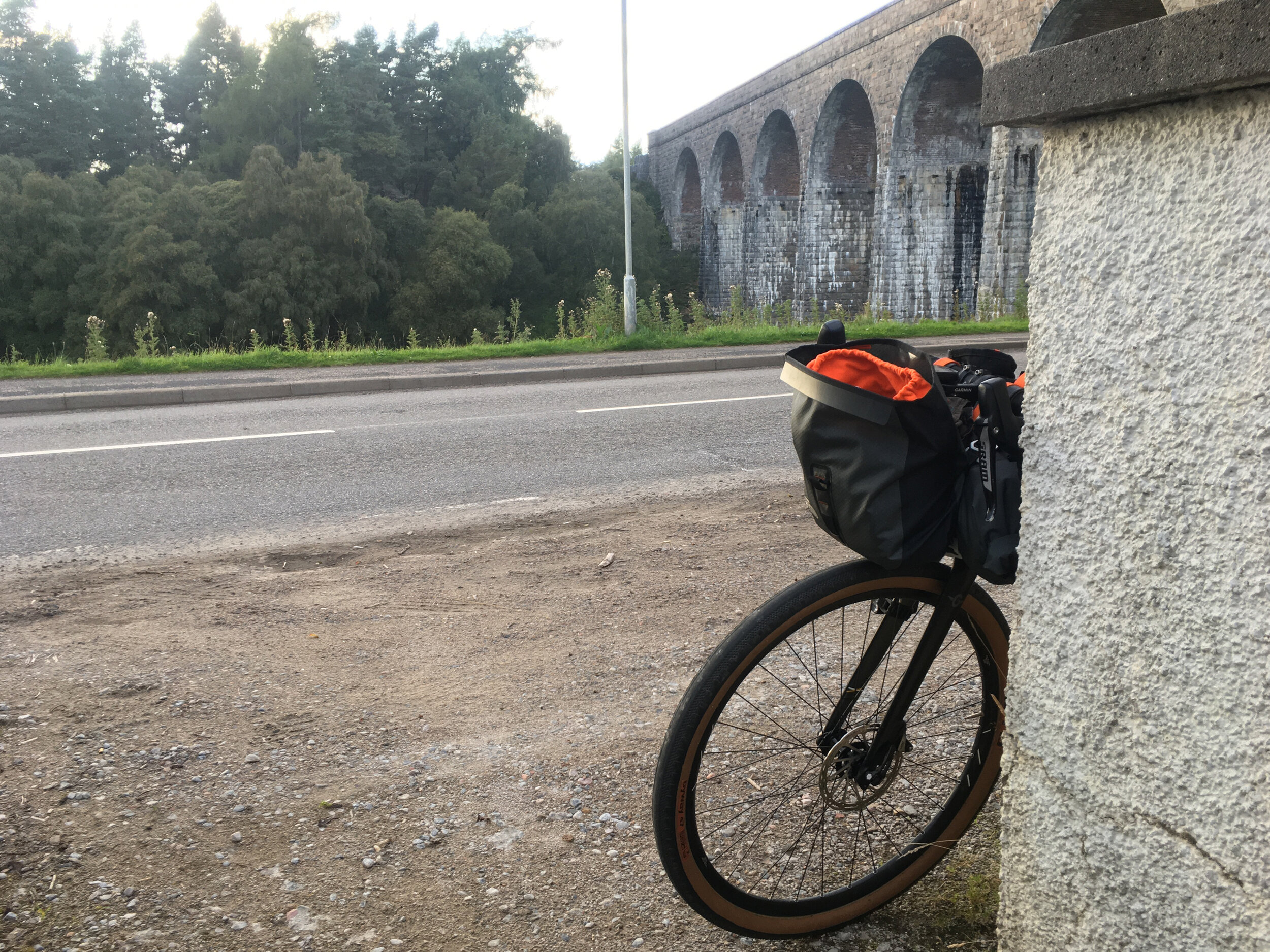 Tomatin, just before terrifying a small child.