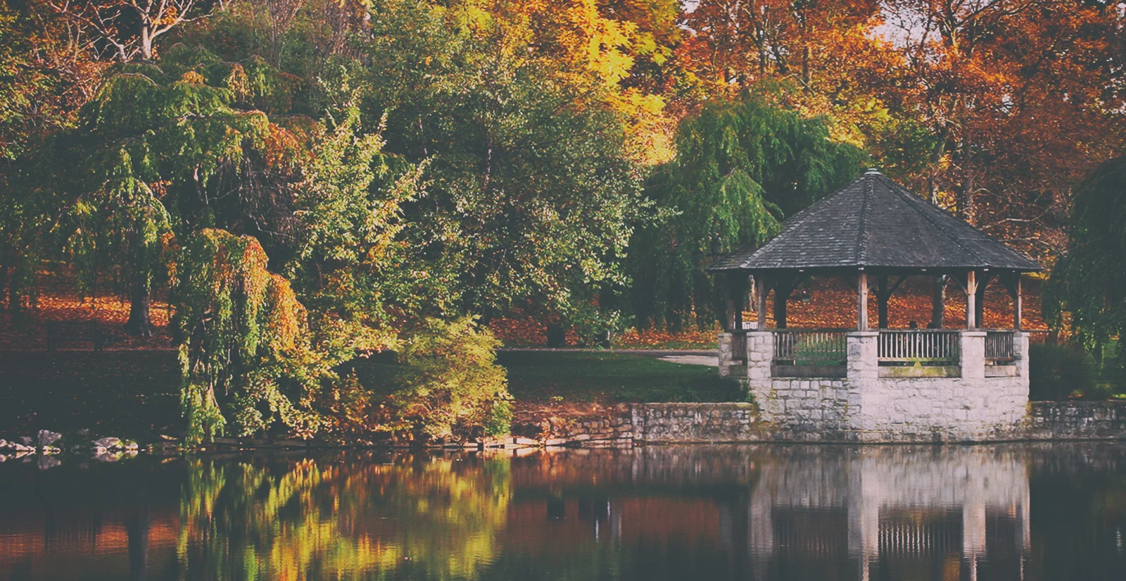 duck-pond.jpg