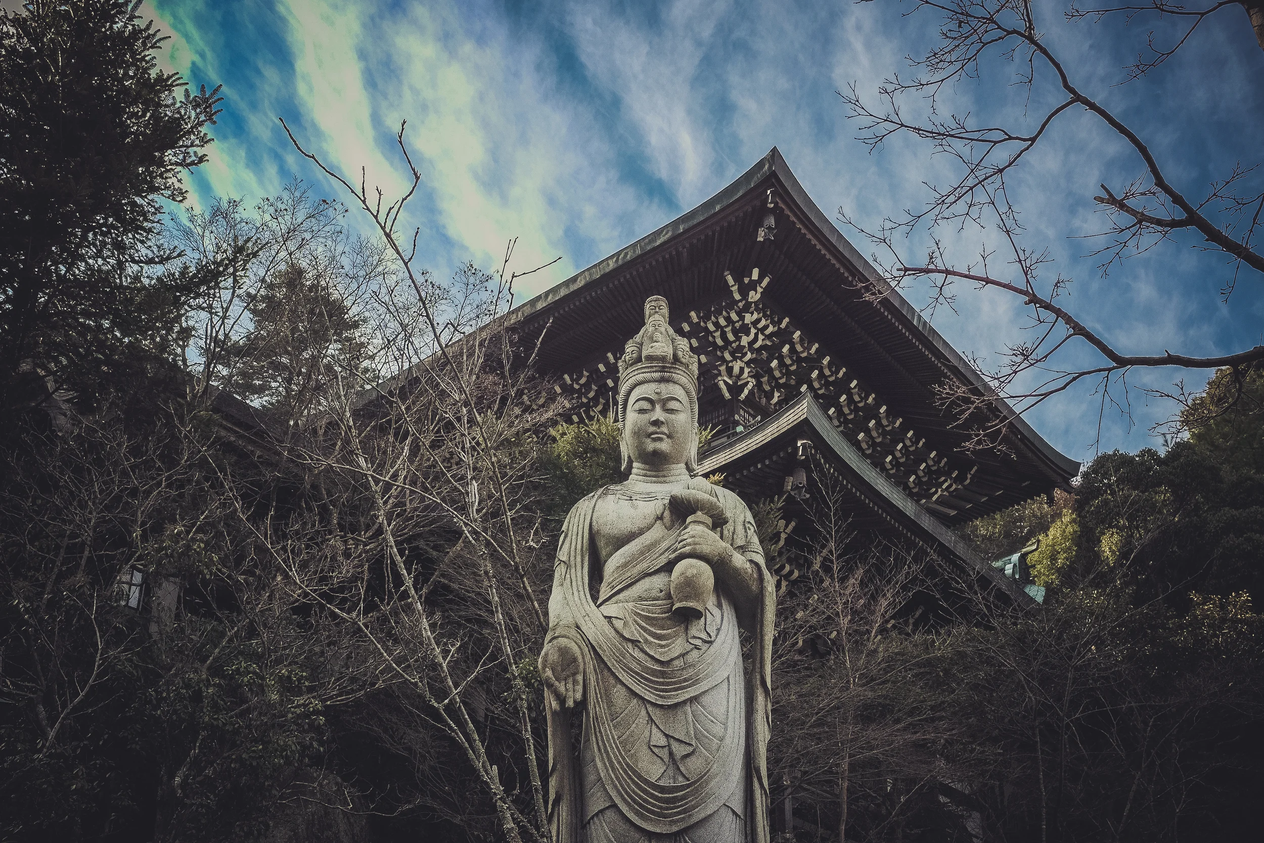 DSCF6480.jpg