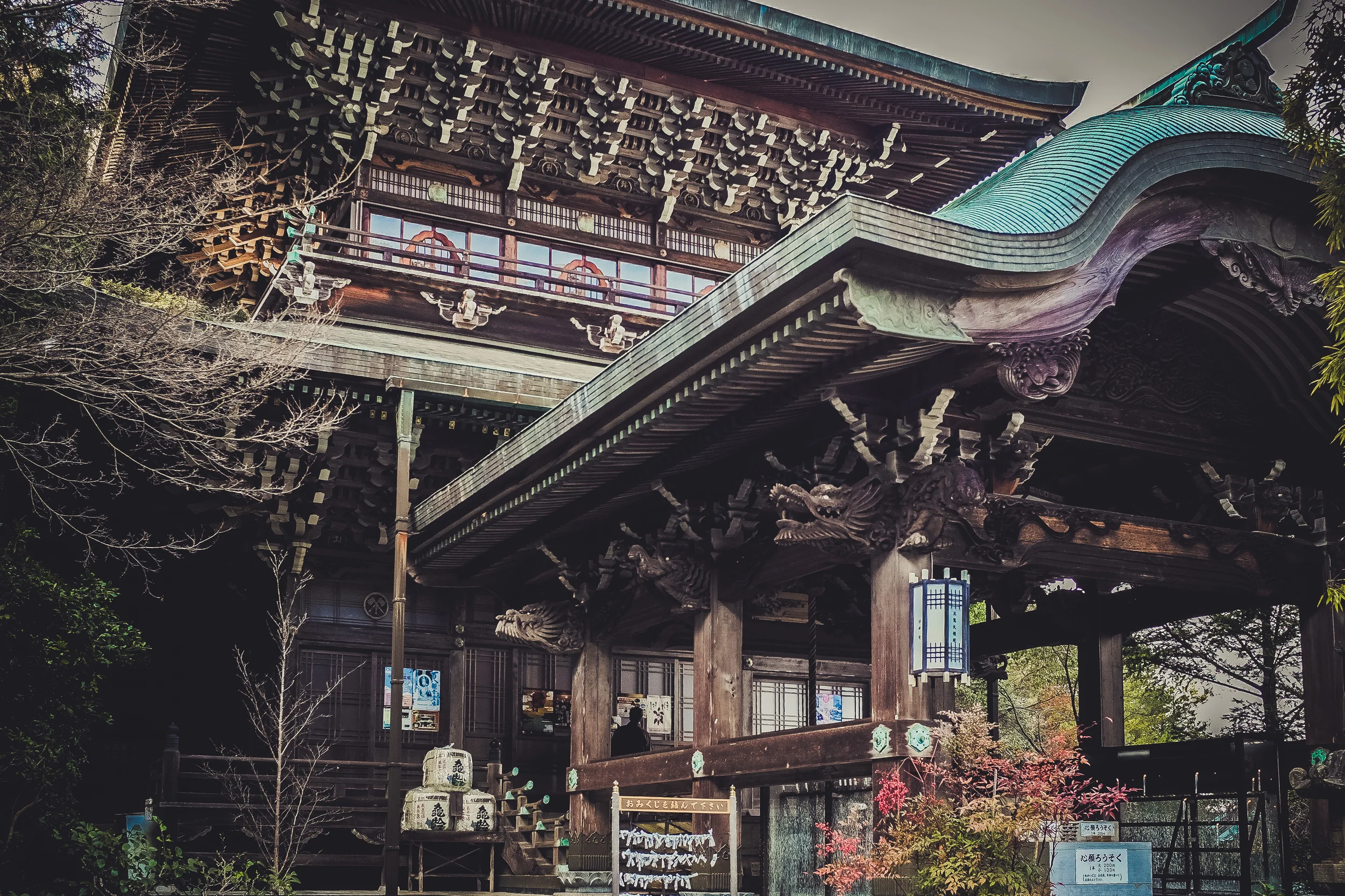 DSCF6500.jpg