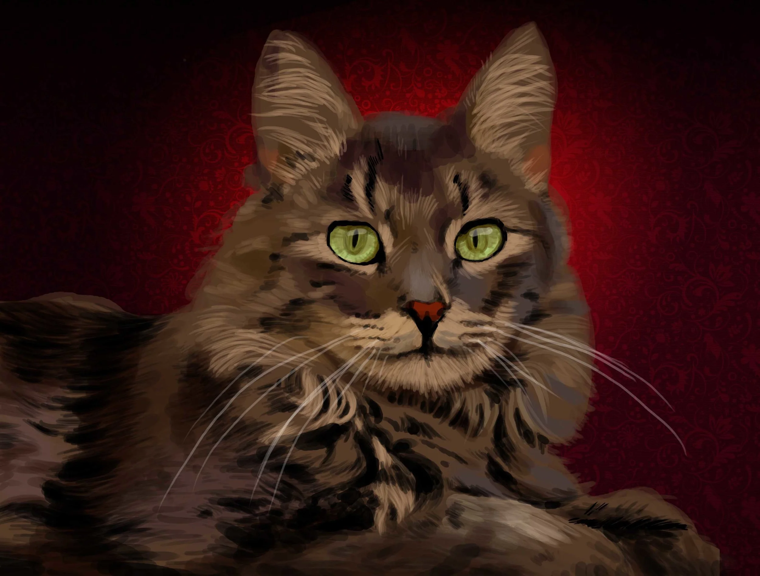 Cat-2.jpg
