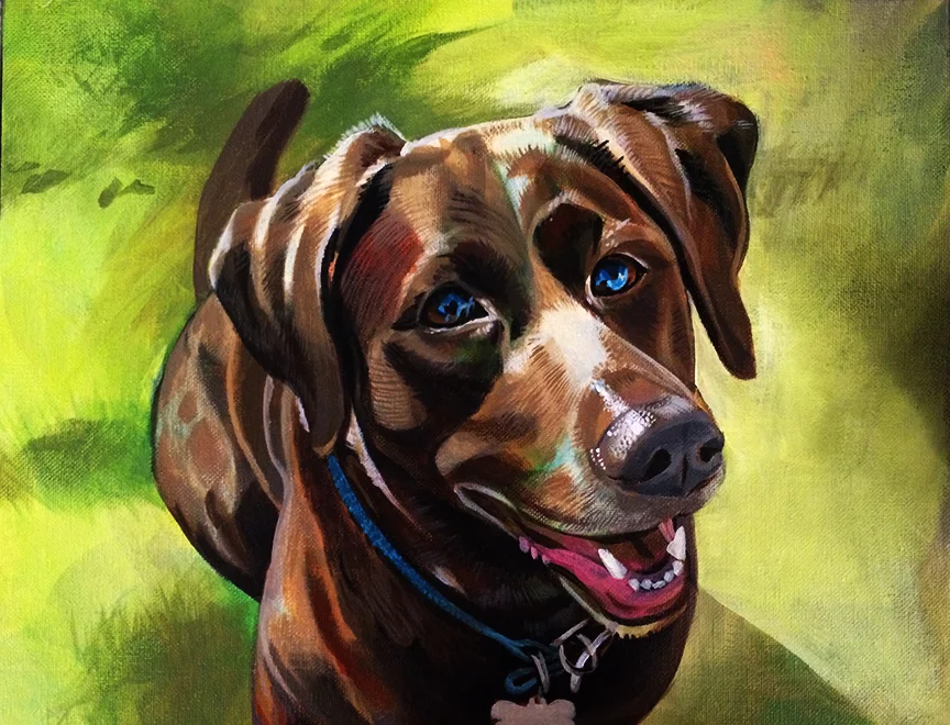 Chocolate Lab.jpg