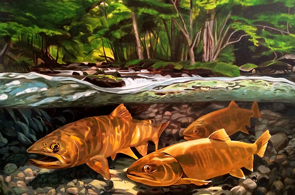Trout Stream