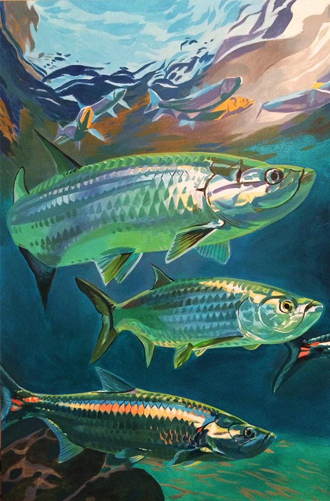 Tarpons