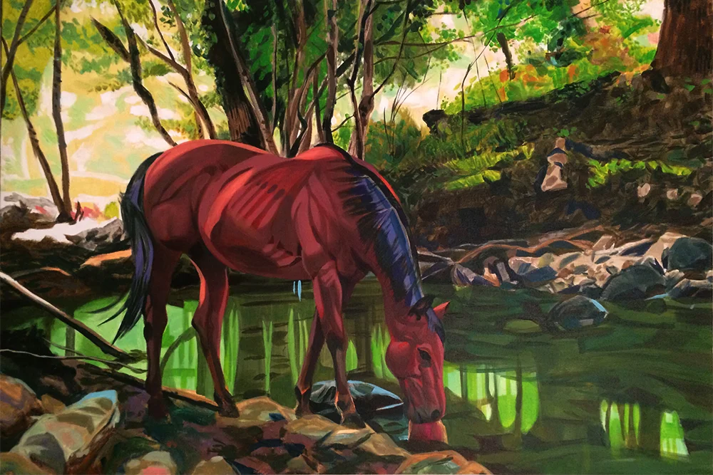 Shaded Creek