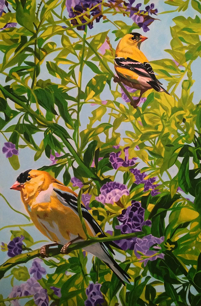 Finches