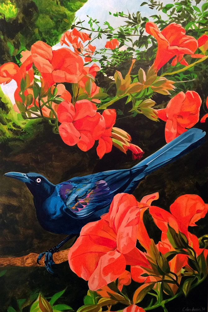 Grackle
