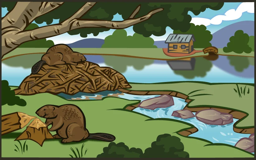 The Pond 2