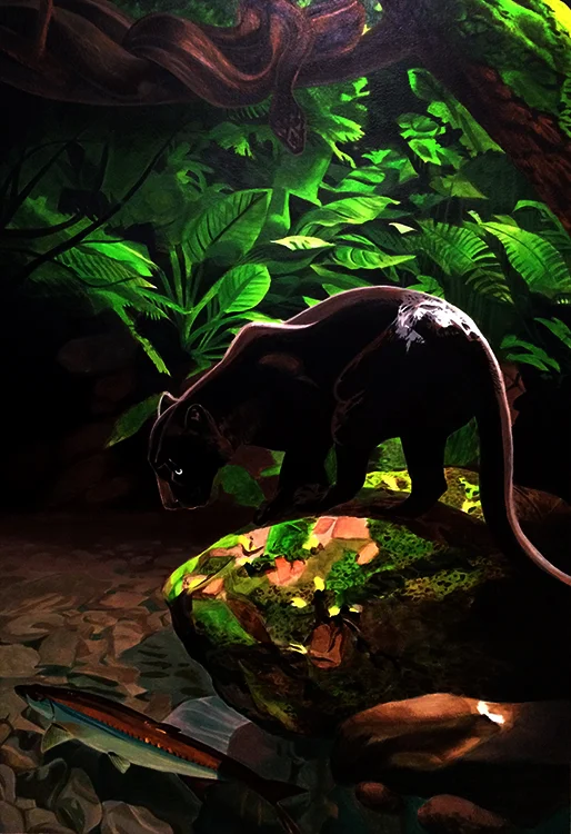 Jaguar