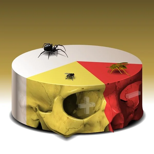 Pi.jpg