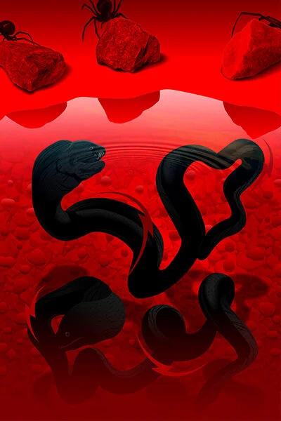 Roiled