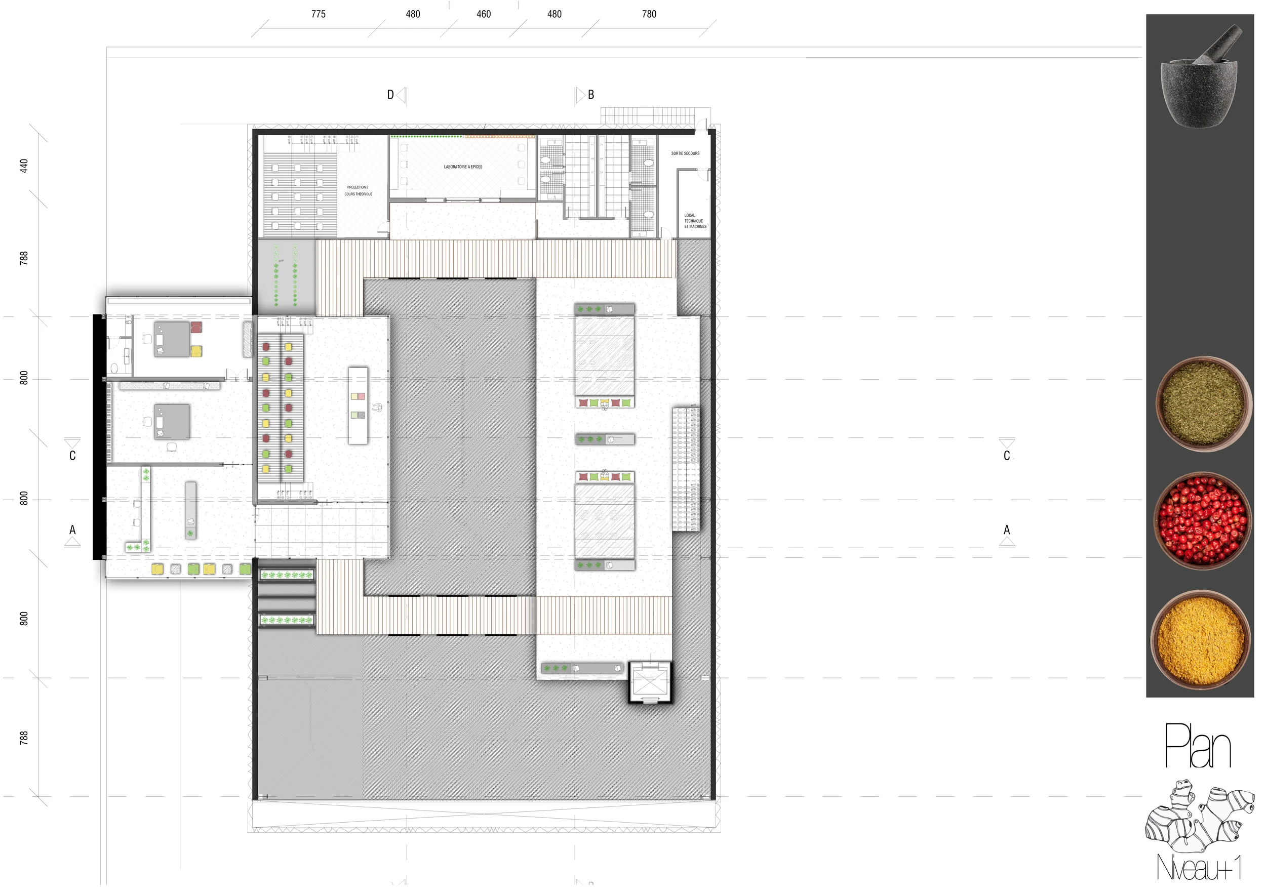 First Floor Plan