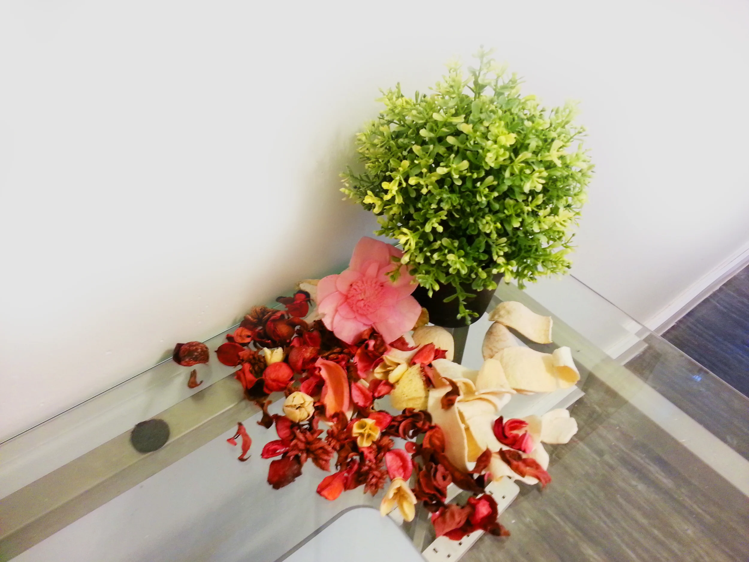20130311_165126 copy.jpg