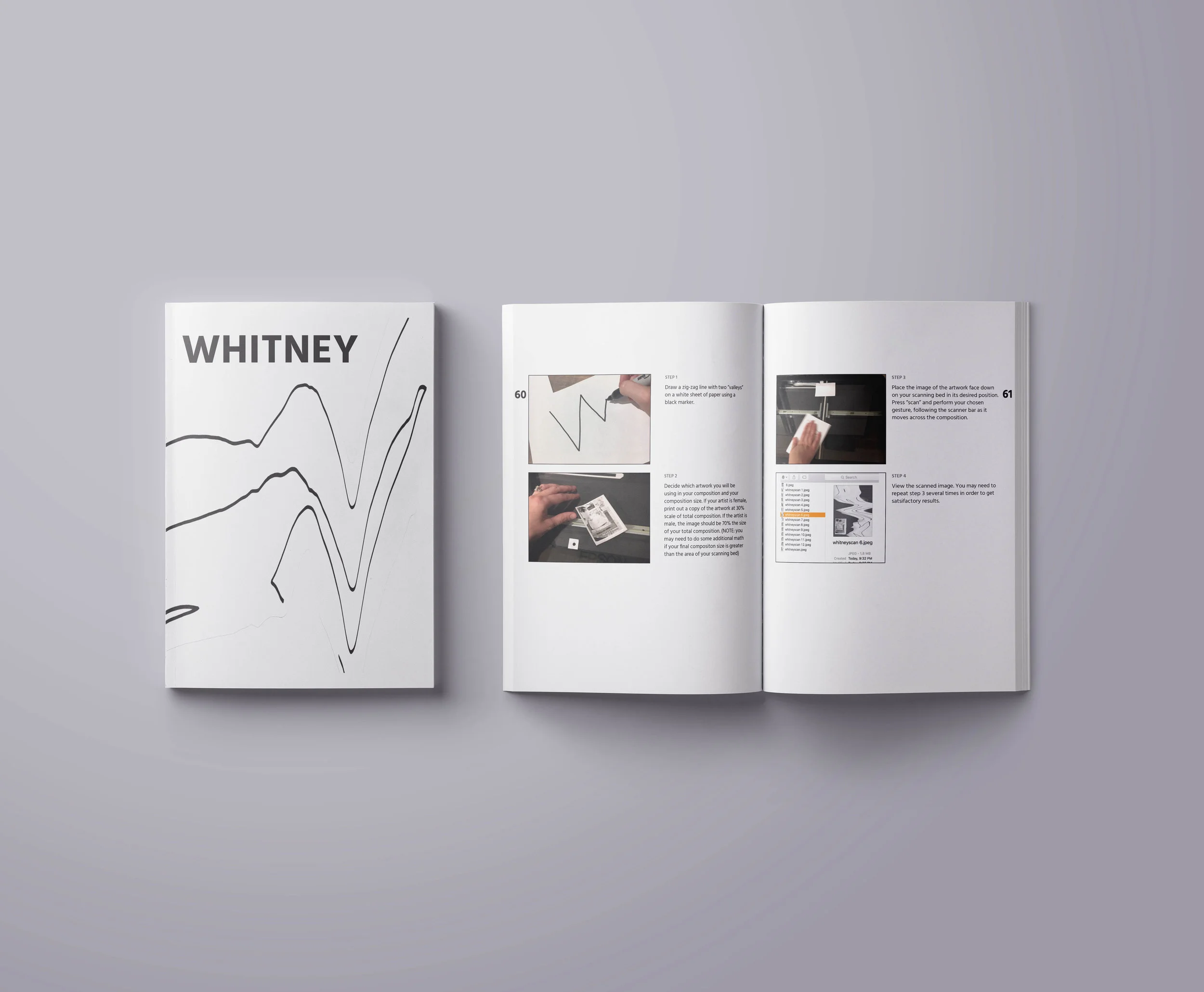 whitney-book-img2g.jpg