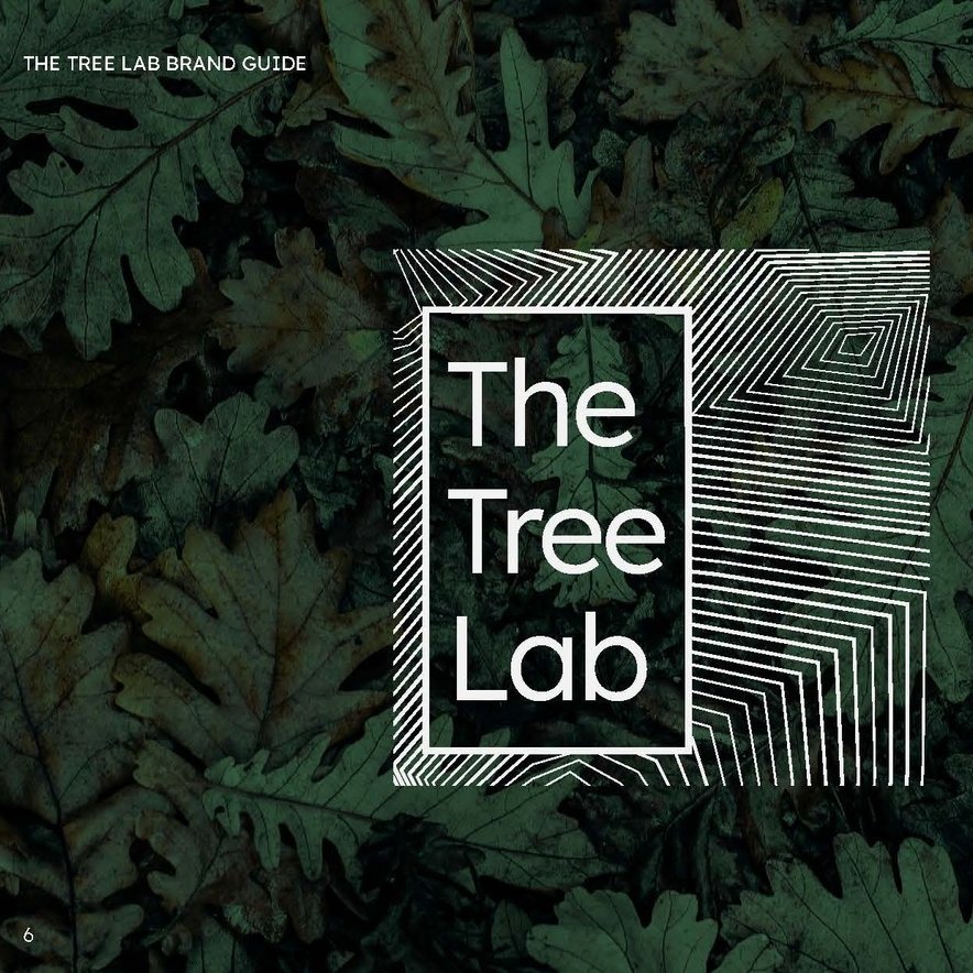 TreeLab_BrandGuide_spreads_09182024_Page_04.jpg