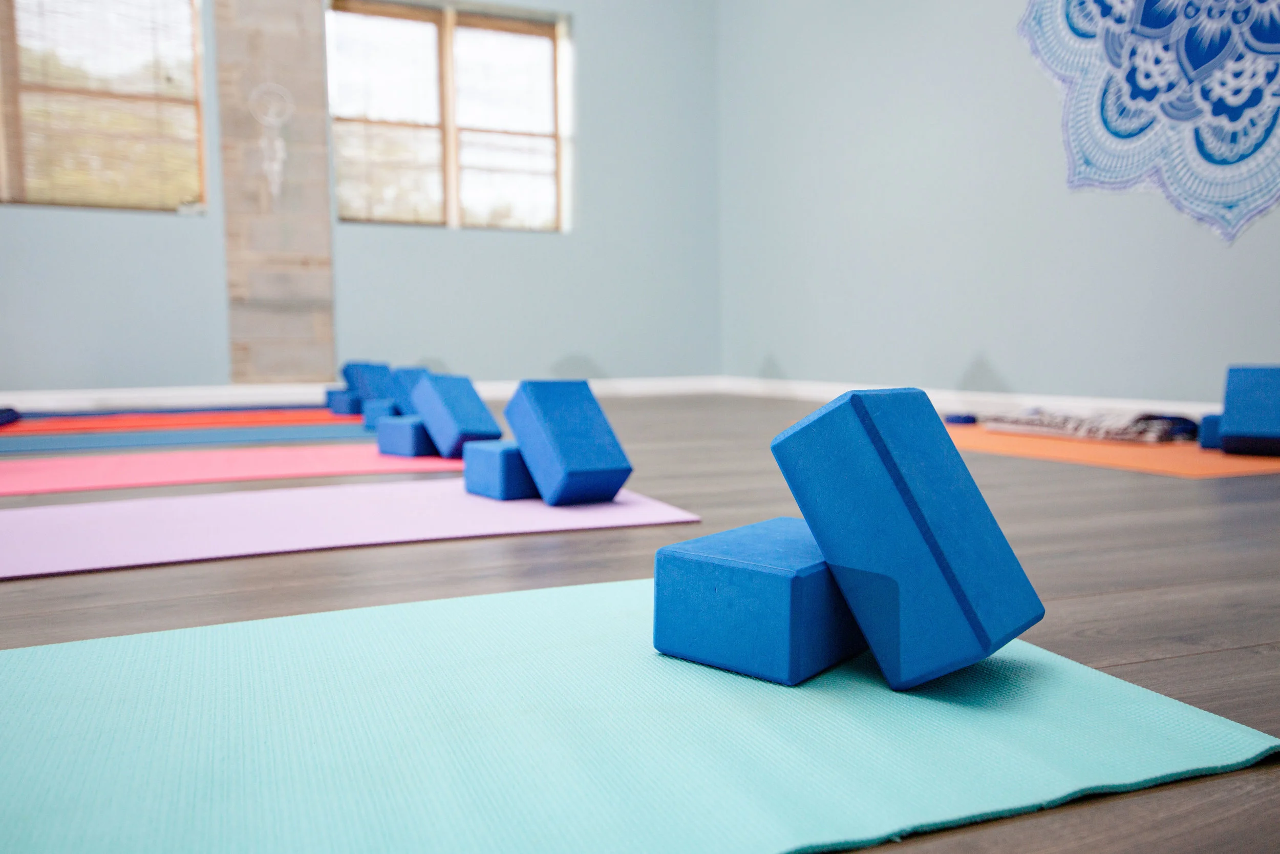 CFY Studio Pic for Website.jpg