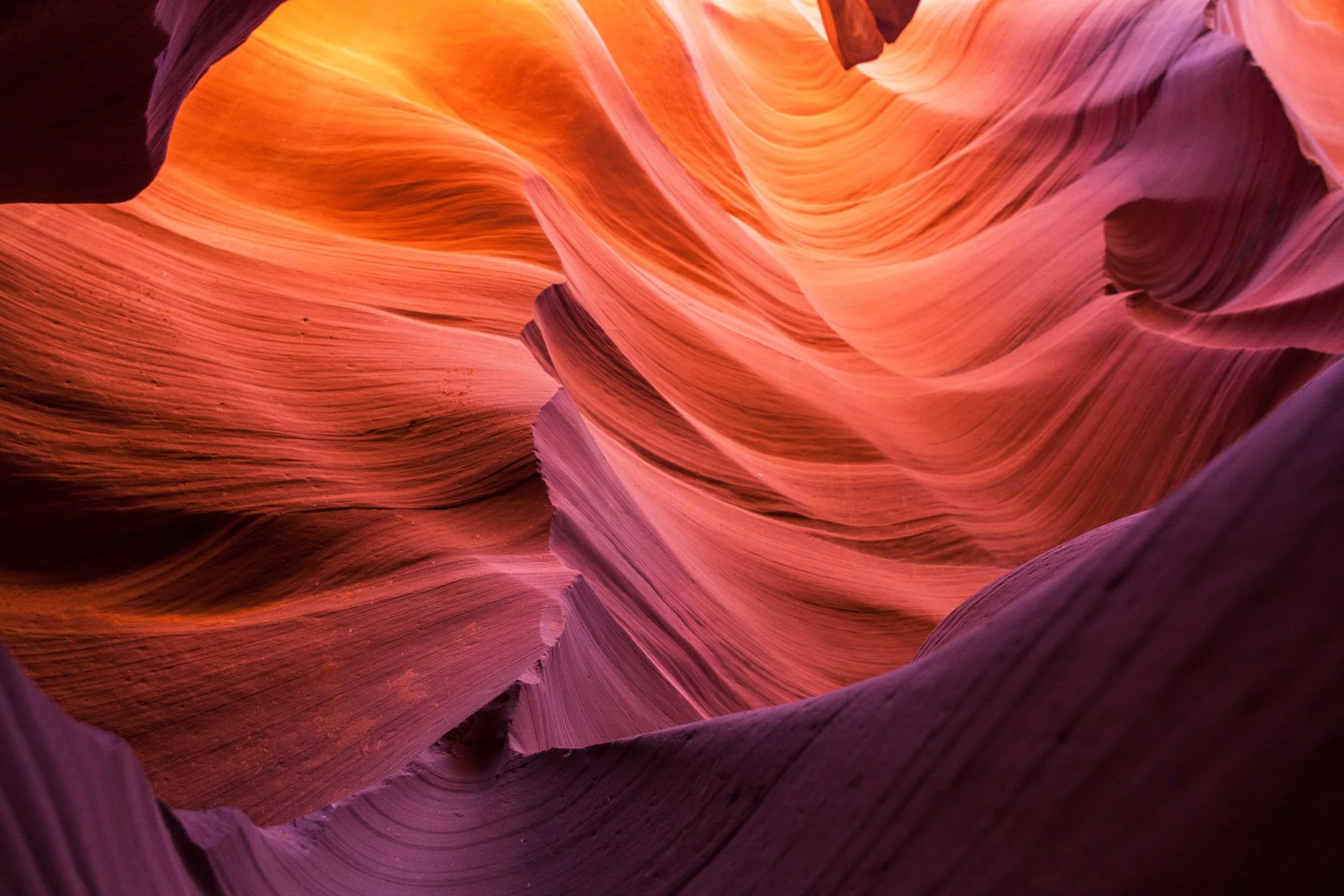 The colors are insane.