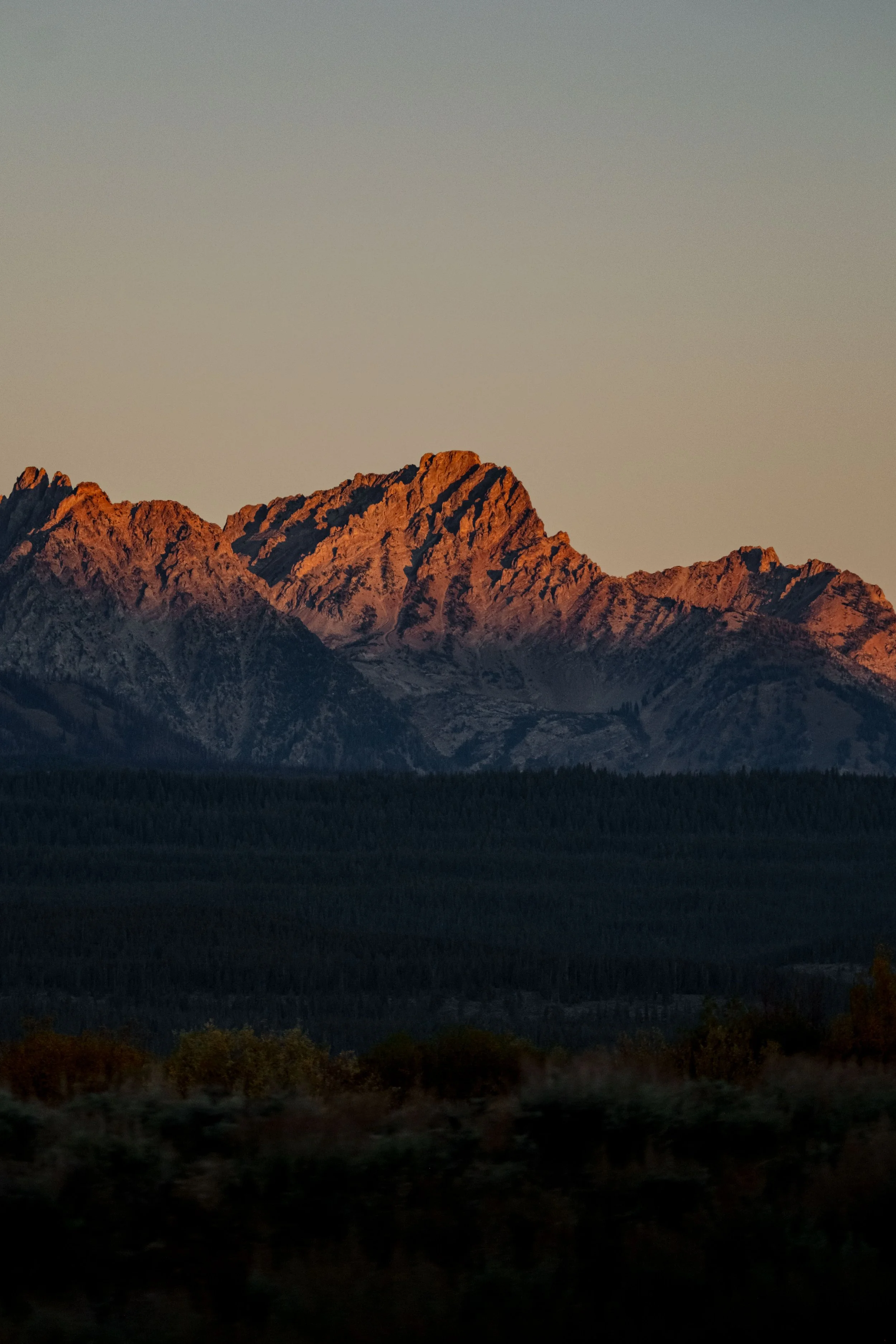 DSCF6387.jpg