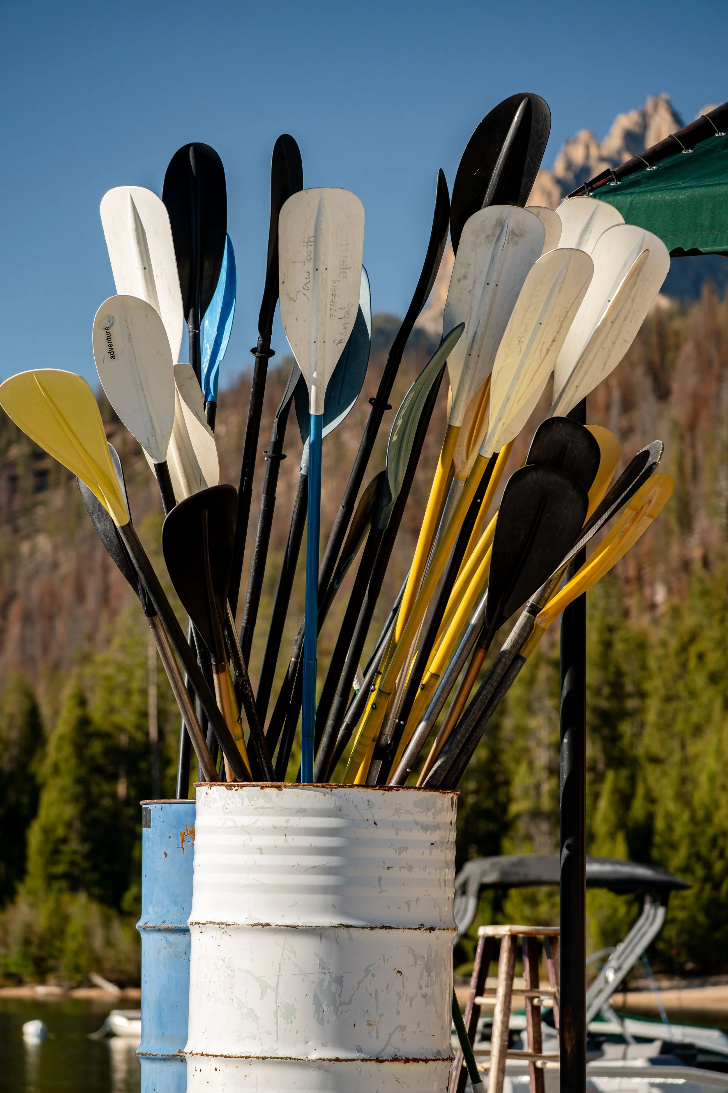 DSCF6659.jpg