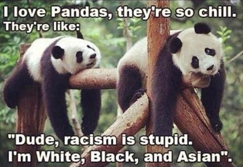 My thoughts exactly