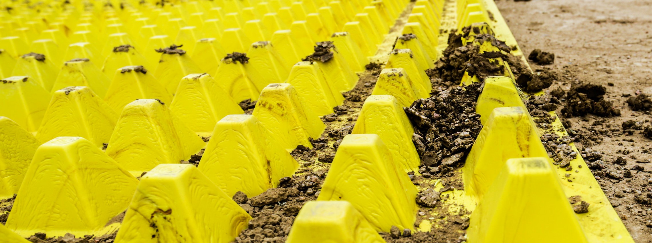 websiteBanner.jpg
