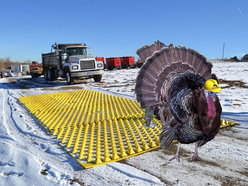 FODS Wishes Everyone a Happy Thanksgiving!