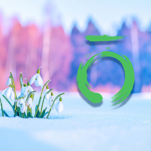 Seasonal Transition &amp; Reawakening Energy