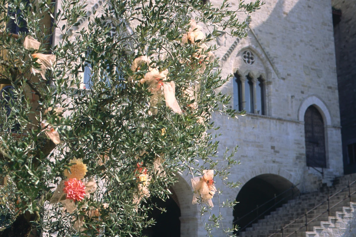 arch-3018.jpg
