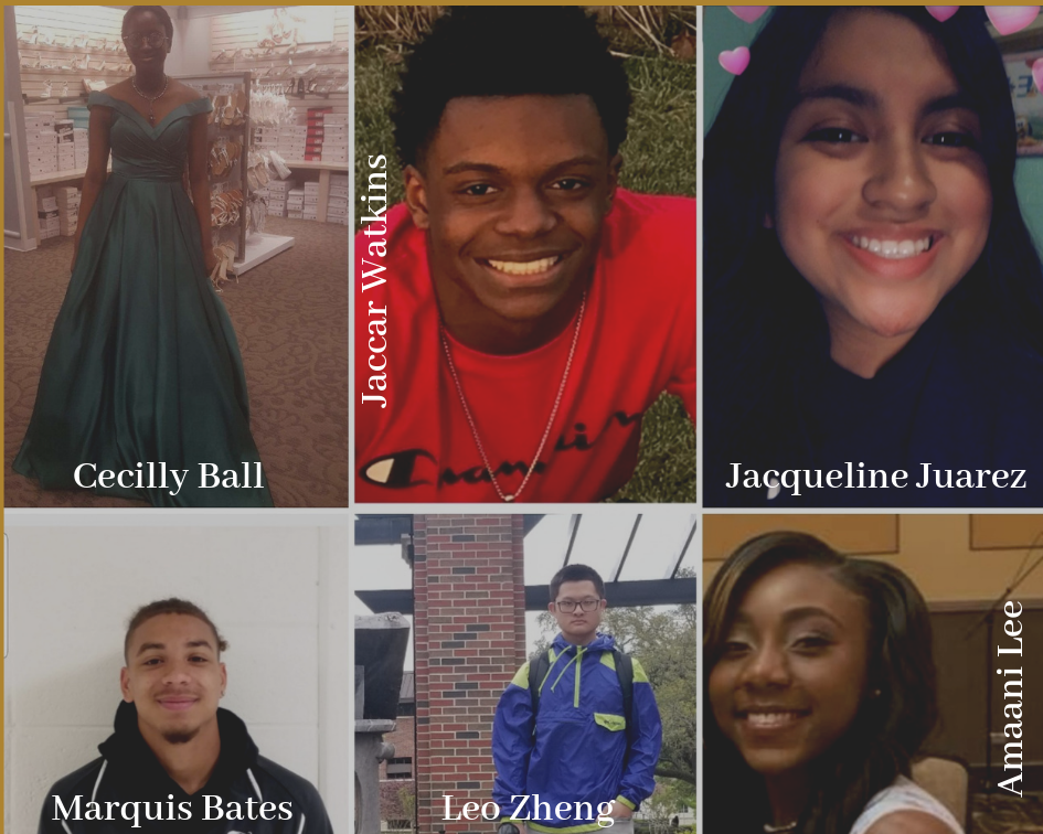 Rising Stars.png