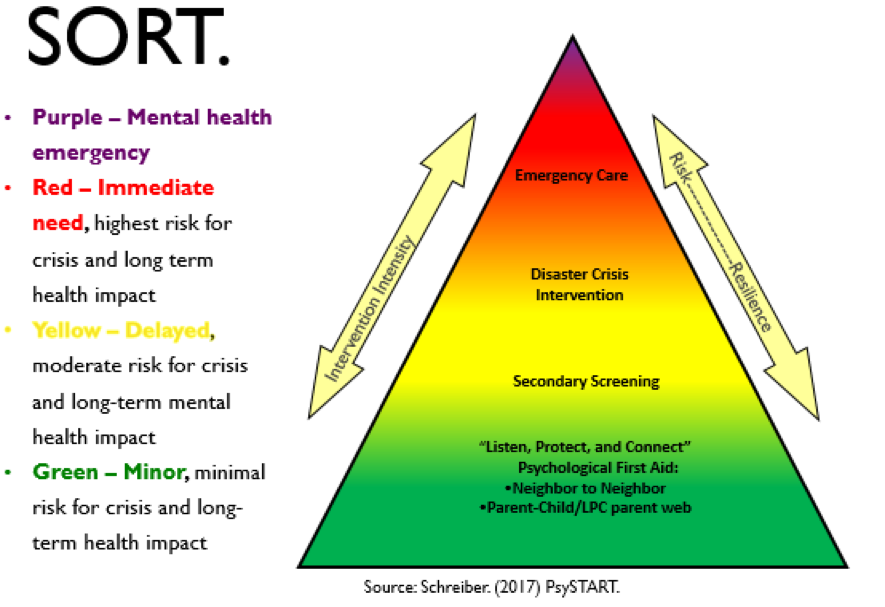 Bridging the Gap between Mental Health and the Disaster Cycle — MESH