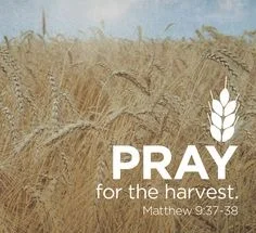 10 Ways to Pray for your Missionaries