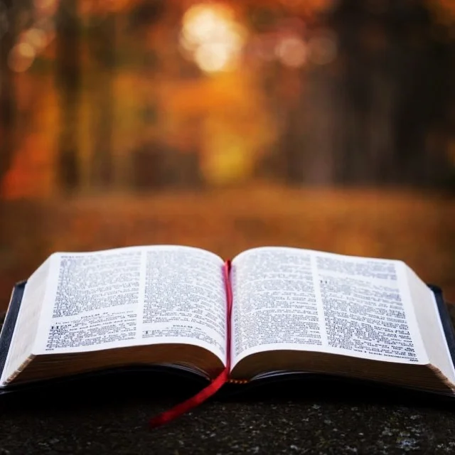 October Newsletter 