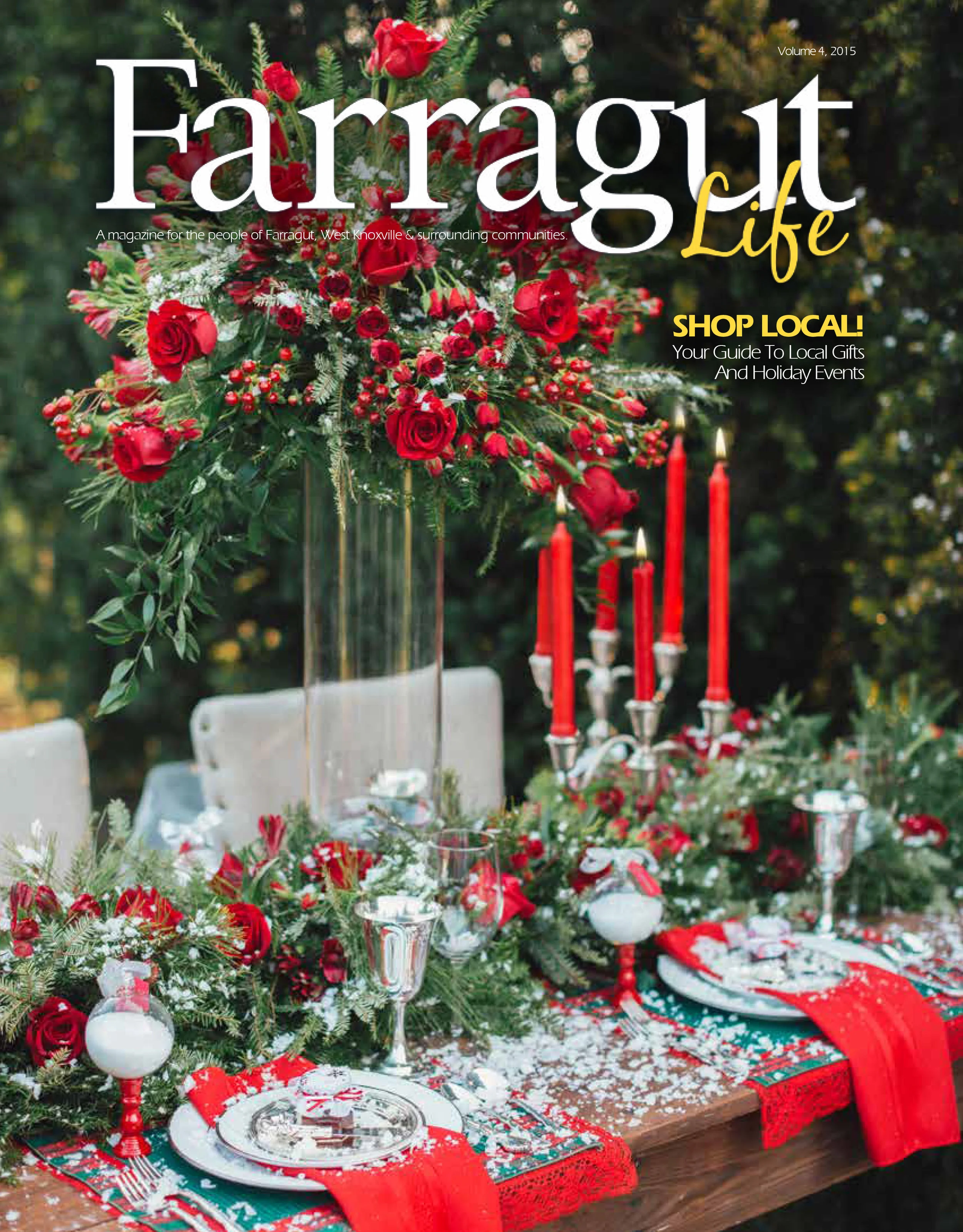 Farragut_Holiday_2015 copy.jpg