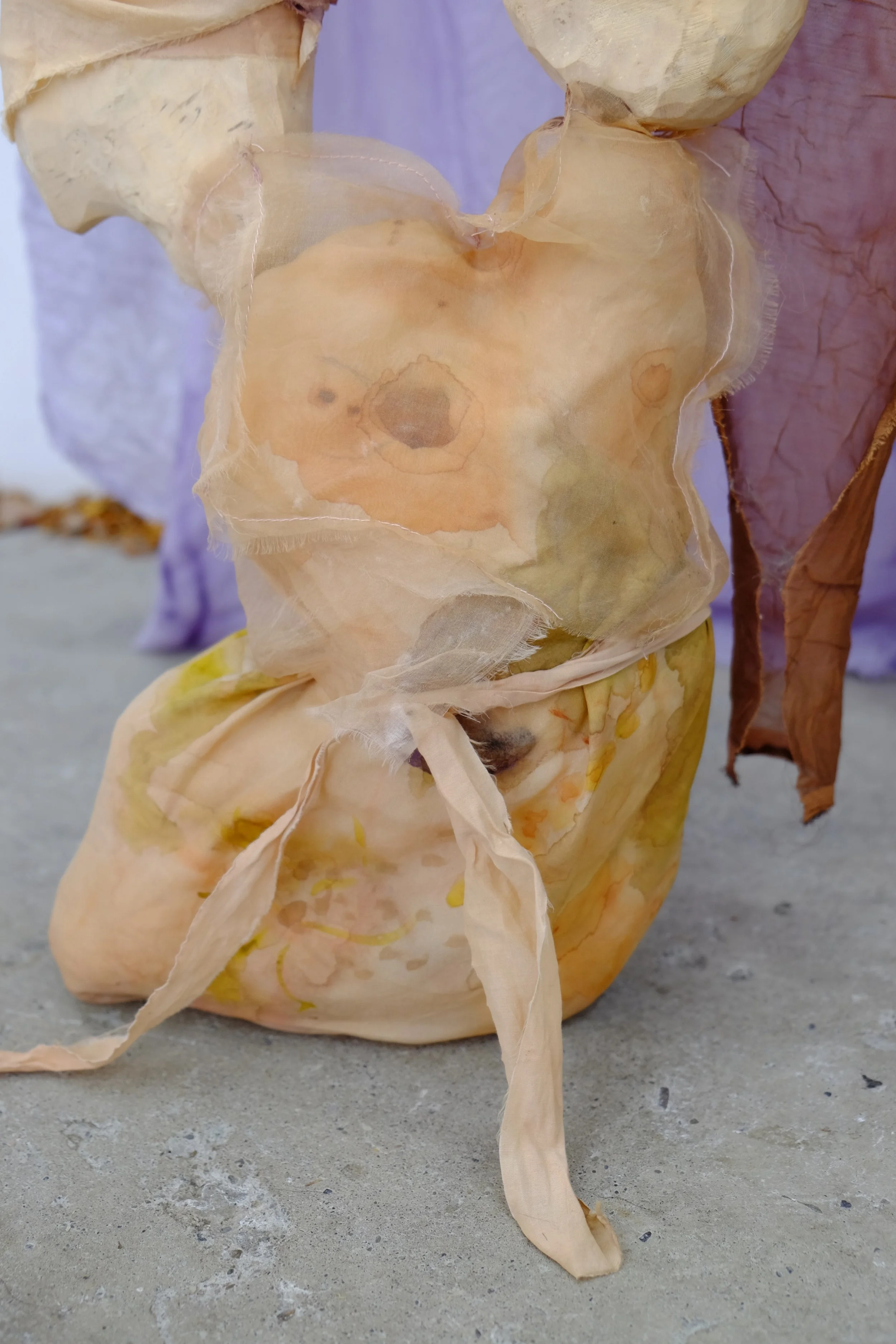 DSCF5022.JPG